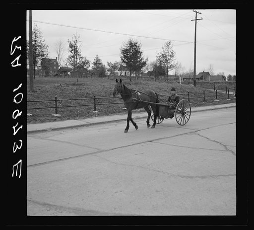 Man driving horse in home-adapted carriage. Crystal Falls, Michigan