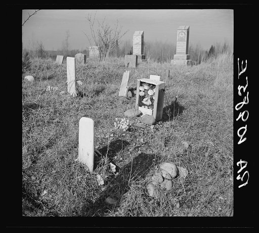 Gravestones in an isolated cemetery on cut-over land in Florence County, Wisconsin