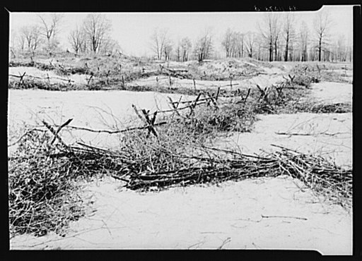 Detail construction of wind erosion fence. Michigan