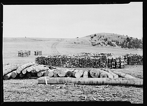 Wood cut on Resettlement Administration land near Rensselaerville, New York. Albany County