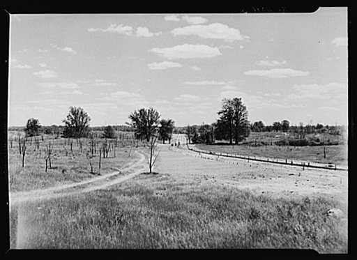 Waterloo project, Michigan. Road under construction