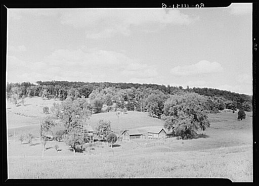 Farm and woodlot in New York State about thirty miles west of Albany. Albany County, New York