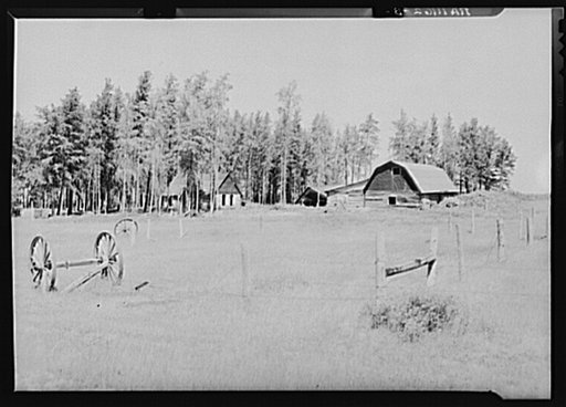 Abandoned farm since last fall. Old pair of wheels in foreground. Beltrami Island reforestation project, Minnesota