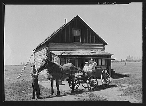 Yankoski children ready to leave for school in ancient wagon. Beltrami Island reforestation project, Minnesota