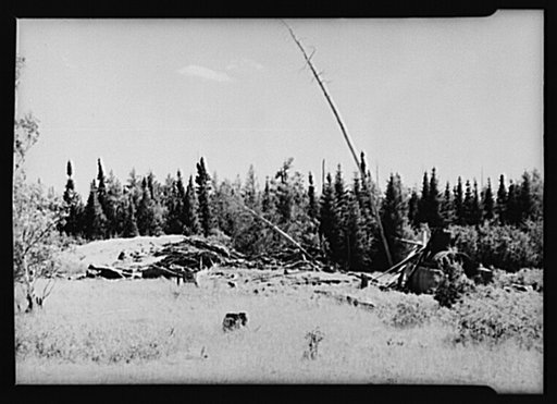 Abandoned sawmill located one mile from fine stand of Norway pine. Beltrami Island reforestation project, Minnesota