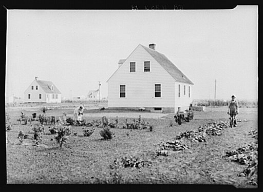 Homesteaders working in garden. Austin Homesteads, Minnesota