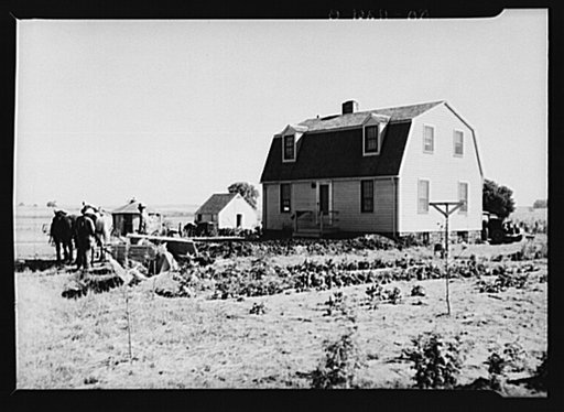 Granger, Iowa. Homesteader granding his front lawn