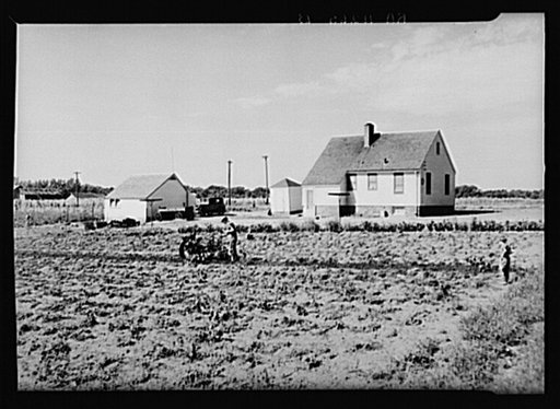 Homesteader digging potatoes with tractor digger. Granger Homesteads, Iowa