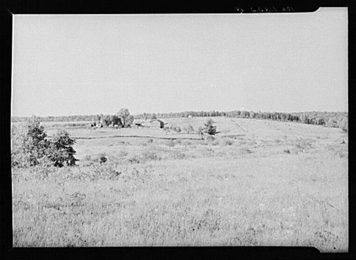 Erosion on farmland. Land under option to Resettlement Administration. Near Farmville, Virginia