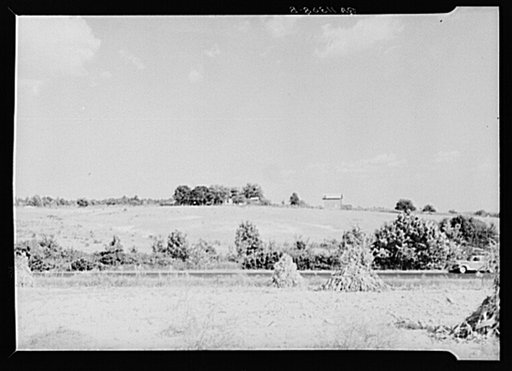 Erosion beginning to destroy farmland near Farmville, Virginia