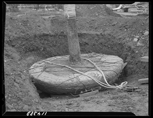 Washington, D.C. Construction of temporary war emergency buildings on the Mall, near 16th and 17th Streets, N.W. Trees being prepared for transplanting to make way for buildings