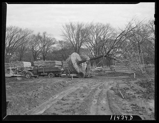 Washington, D.C. Construction of temporary war emergency buildings on the Mall, near 16th and 17th Streets, N.W. Trees being moved on a truck to make way for buildings