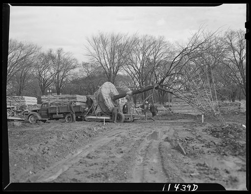 Washington, D.C. Construction of temporary war emergency buildings on the Mall, near 16th and 17th Streets, N.W. Trees being moved on a truck to make way for buildings