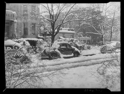 Washington, D.C. Snow-covered cars and broken limbs felled by a storm