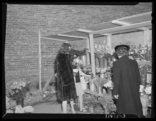 Washington, D.C. Flower stand in a parking lot on Connecticut Avenue near Dupont Circle
