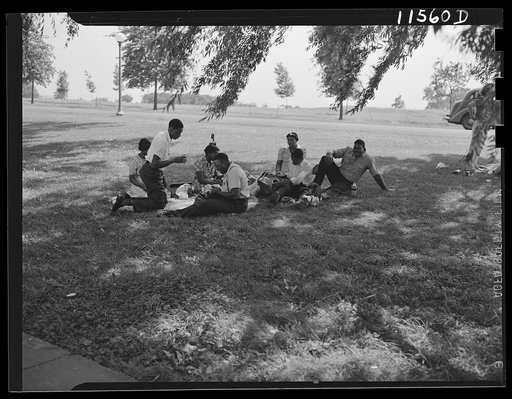 Washington, D.C. Picnicking in shade of willow trees on Hains Point