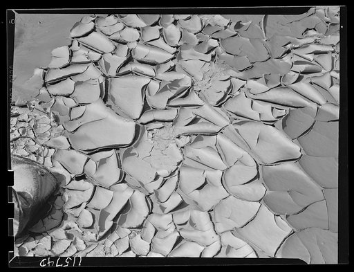 Texture background for motion picture and filmstrip titles. Patterns formed by cracks caused by shrinking of a thin film of mud as it dried