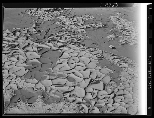 Texture background for motion picture and filmstrip titles. Patterns formed by cracks caused by shrinking of a thin film of mud as it dried