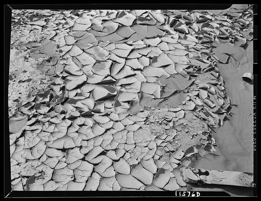 Texture background for motion picture and filmstrip titles. Patterns formed by cracks caused by shrinking of a thin film of mud as it dried