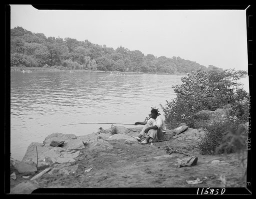 Washington, D.C. (vicinity). Negro fishing on the Virginia side of the Potomac River below the Chain Bridge