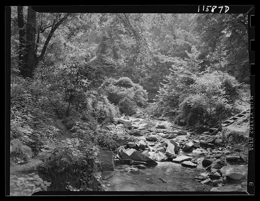 Washington, D.C. (vicinity). A rocky creek that flows into the Potomac River near the Chain Bridge on the Virginia side
