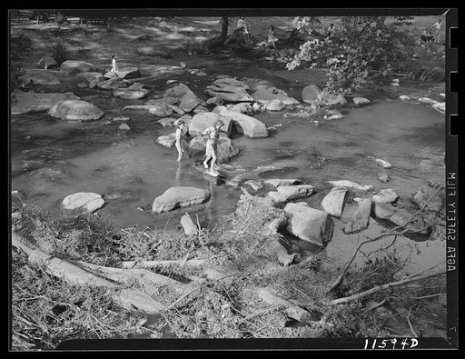 Washington, D.C. Girls playing in Rock Creek Park