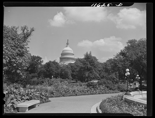 Washington, D.C. Capitol dome from the Botanical Gardens
