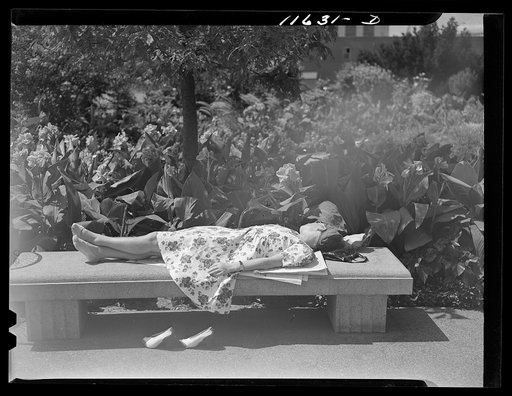 Washington, D.C. Government employee taking a nap on a bench in the Botanical Garden