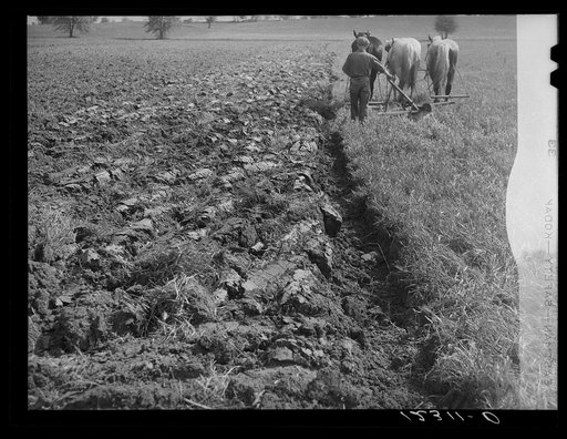 Spring plowing. Maryland