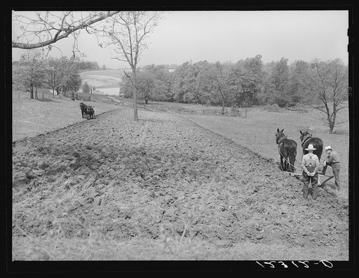 Small farm near Frederick, Maryland