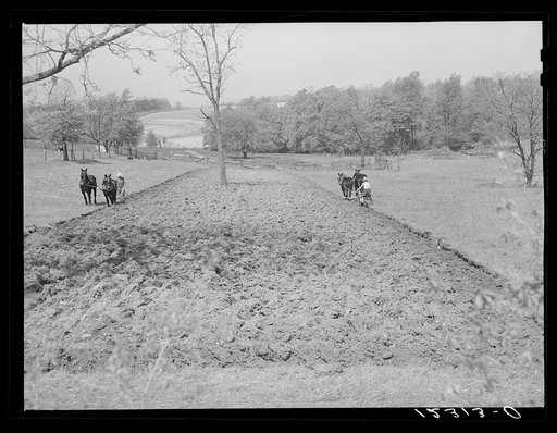 Small farm near Frederick, Maryland