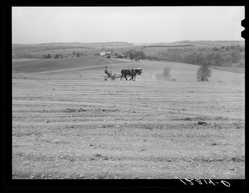 Spring plowing. Maryland