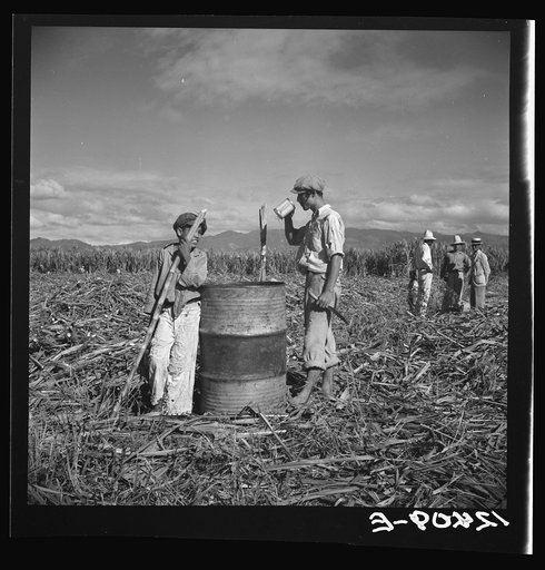 Ponce (vicinity), Puerto Rico. Sugar workers on a plantation