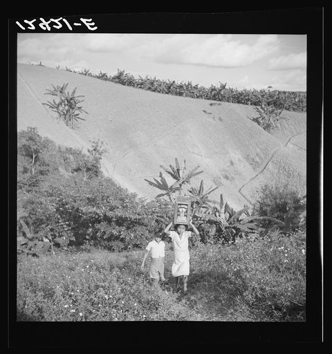 Children of tobacco worker fetching water from the creek. Puerto Rico