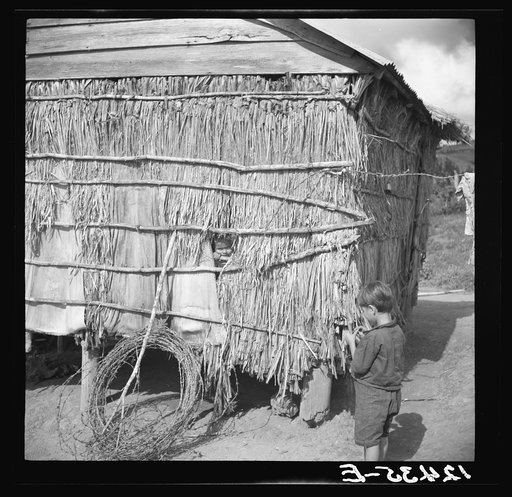 Jibaro hut near Cidra. Puerto Rico