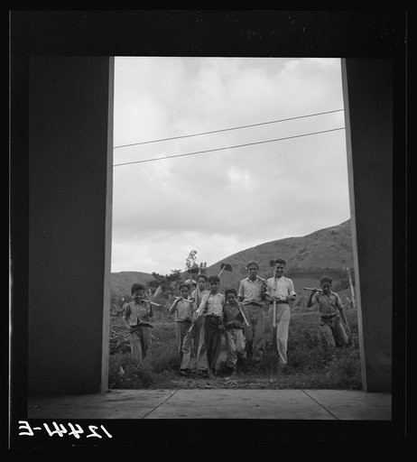 Returning from agricultural class. La Plata project, Puerto Rico