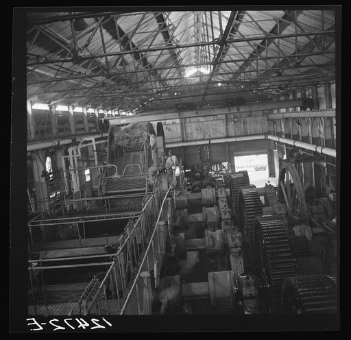 General view of a crusher on a large sugar refinery near Ponce, Puerto Rico