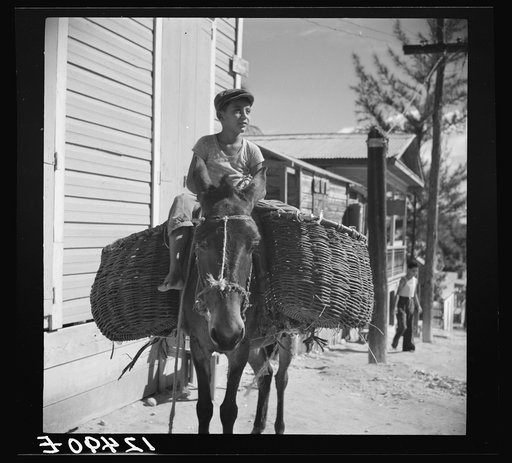 Transportation of merchandise. Ponce, Puerto Rico