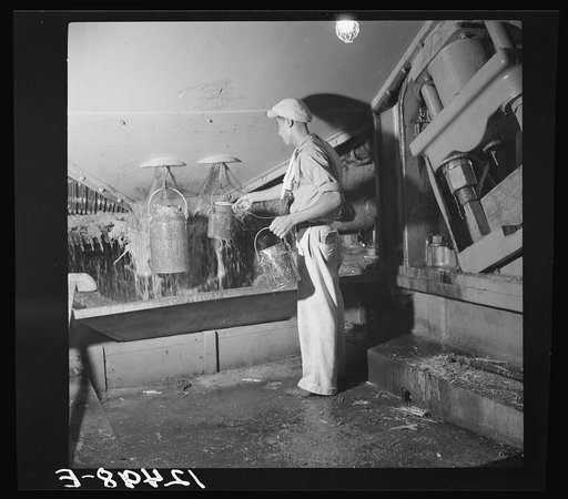 Collecting overflow cane juice in a sugar refinery near Ponce, Puerto Rico