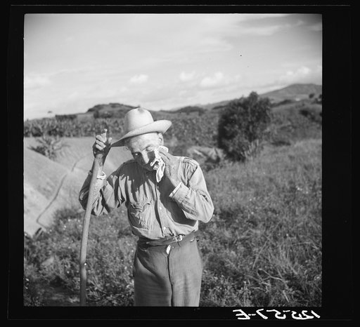 Old Jibaro, patriarch of a clan of twenty-one tobacco hillfarmers. Puerto Rico