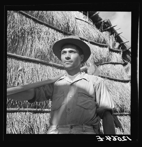 Jibaro tobacco worker. Near Cidra, Puerto Rico
