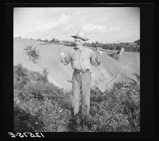 Old Jibaro, patriarch of a clan of twenty-one tobacco hillfarmers. Puerto Rico
