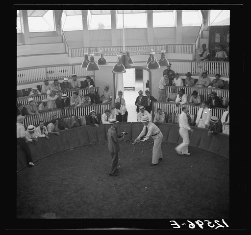 Introduction. Two fighting cock owners bring their birds into the arena so that bets may be placed before the fight. Puerto Rico