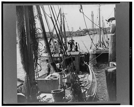 Trawlers, locally called draggers, in Provincetown Harbor. Note nets hung up to dry. Massachusetts