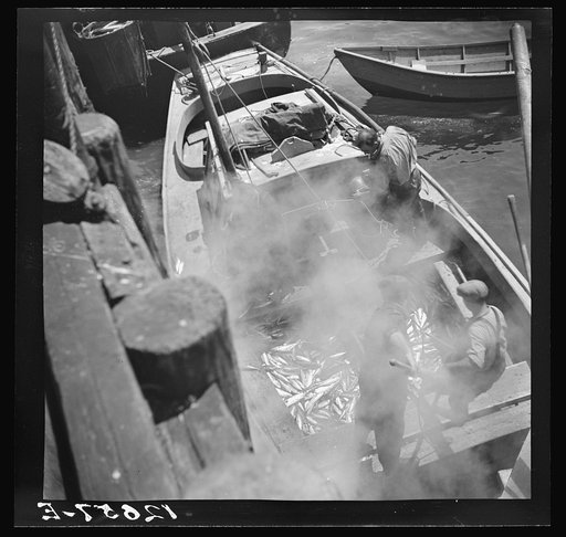 Landing fish at pier for direct overnight trucking to New York. Provincetown, Massachusetts