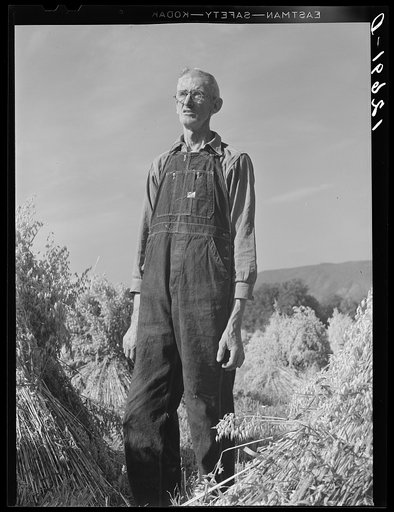 Vermont farmer near Lincoln, Vermont