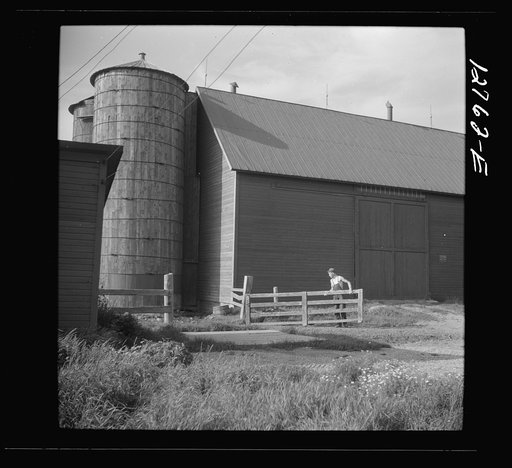 Prosperous dairy farm near Bristol, Vermont