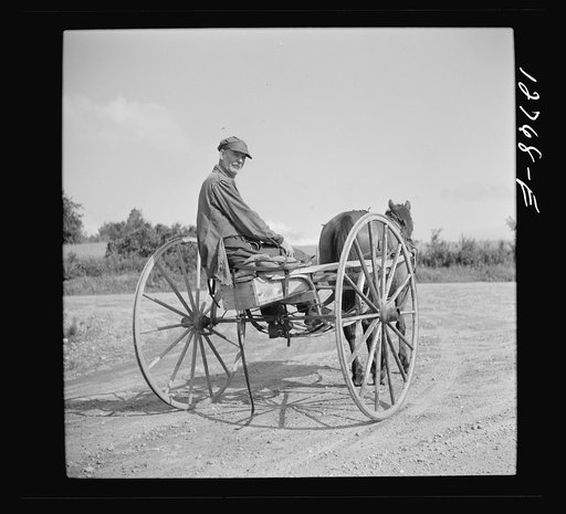 Old farmhand in his homemade buggy. Lincoln, Vermont