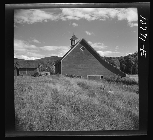 Barn and hay field. South Lincoln, Vermont