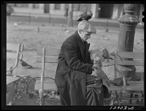 New York, New York. This man feeds the pigeons in Washington Square regularly